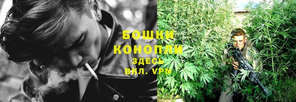 PSILOCYBIN Алексеевка