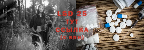 PSILOCYBIN Алексеевка